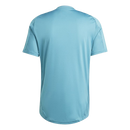 Camisa Cruzeiro 25/26 - Treino
