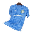 Camisa Palmeiras Goleiro 2025/26